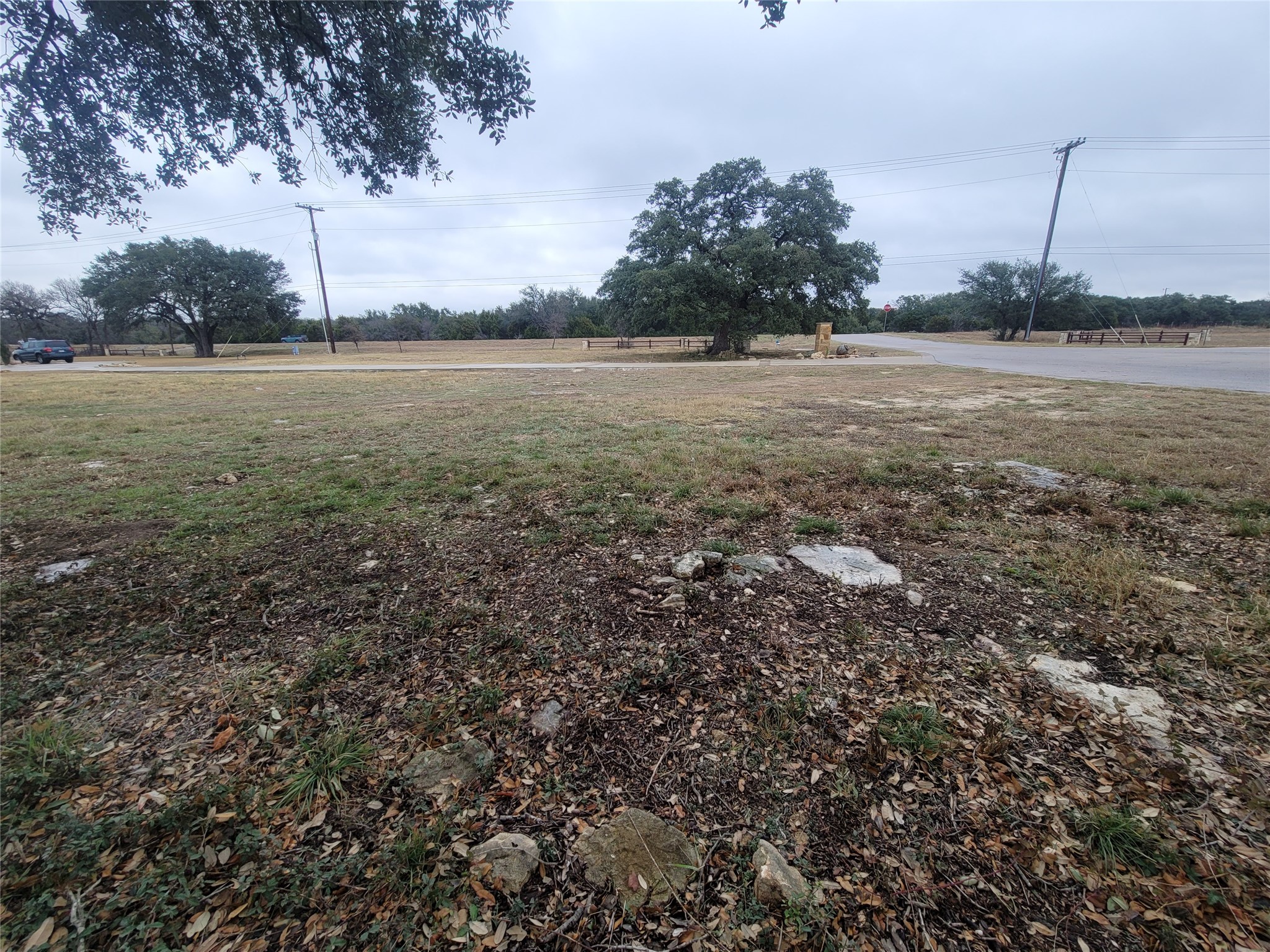 104 Gabgrove Court Georgetown, TX 78633 - Photo 6 of 11 Expansive lot featuring mature trees and a clear, open area, providing a versatile canvas for development