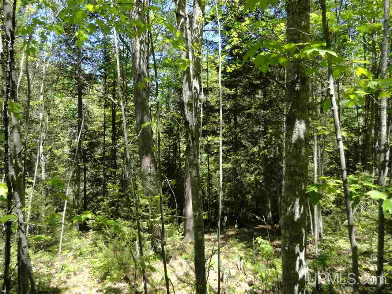 40 Two 2 Mile Creek Road Channing, MI 49815 - Photo 9 of 15