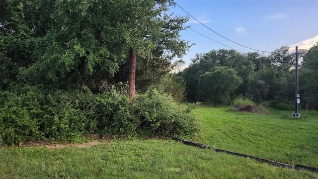 a view of a lush green space