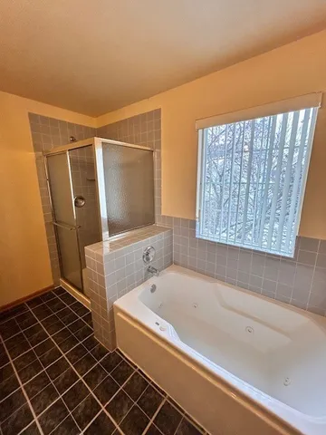 a bathroom with a bathtub and a shower