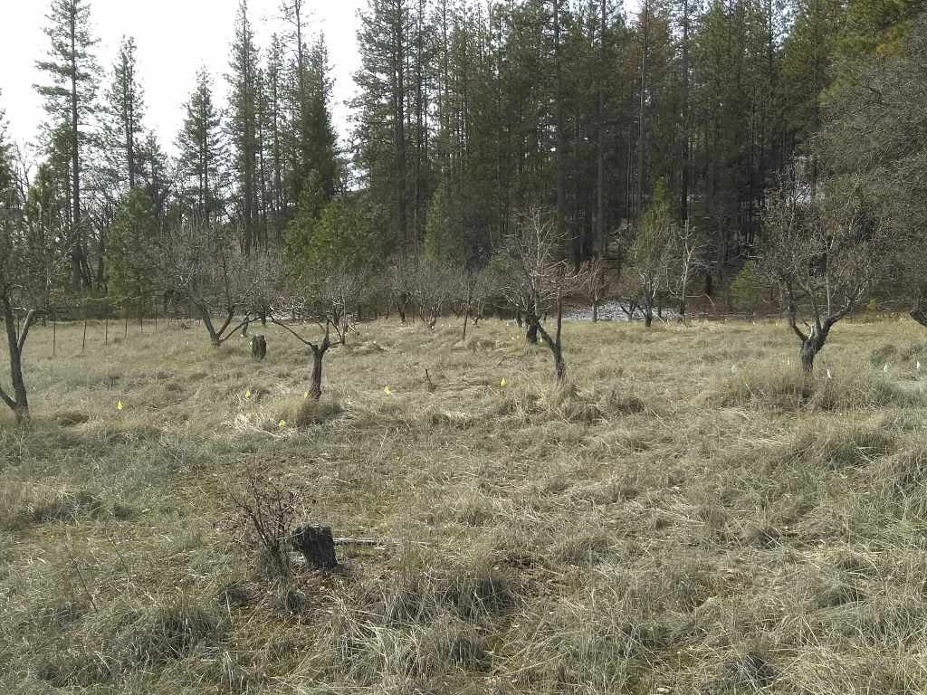 13731-13733 Rattlesnake Creek Road Fort Jones, CA 96032 - Photo 32 of 33 Gallery Image 32
