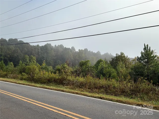 a view of a yard next to a road