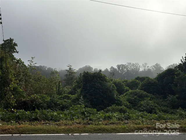 a view of a field of grass and trees