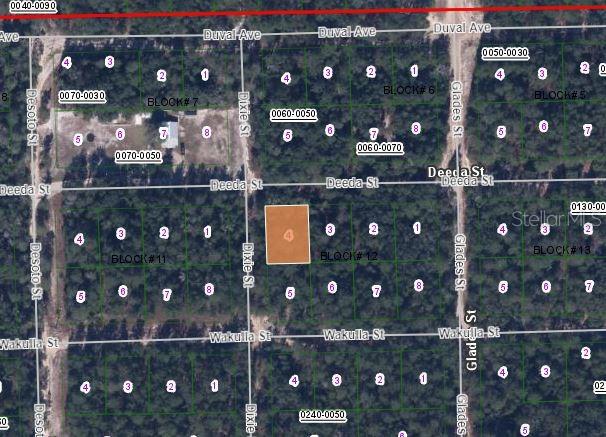 301 Deeda Street Florahome, FL 32140 - Photo 3 of 3