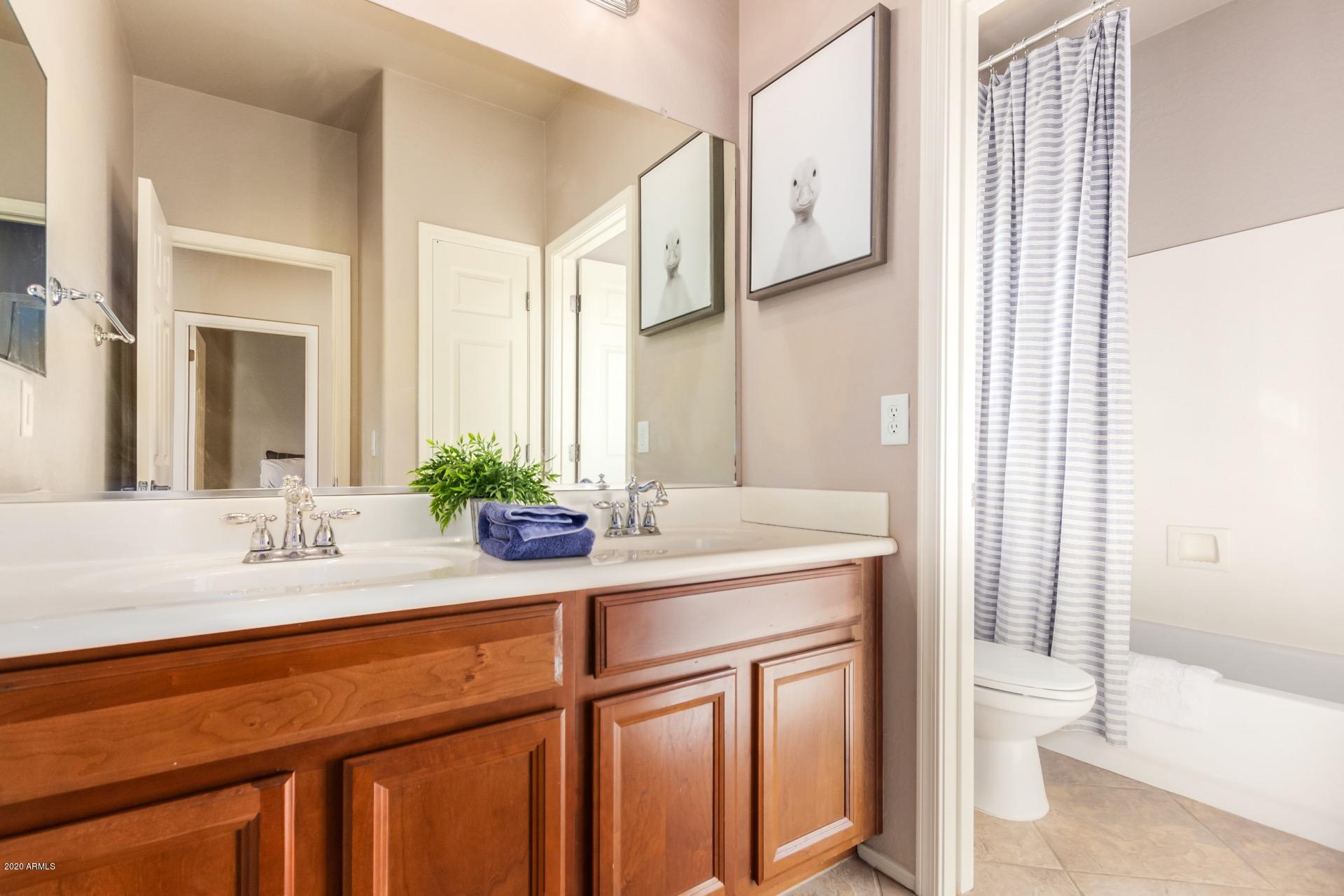 1043 Phelps Street Gilbert, AZ 85295 - Photo 13 of 18 a bathroom with a sink and a mirror