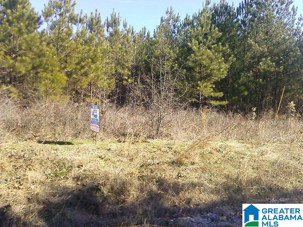 3.5-acre Lot 3.5-acre Road Lineville, AL 36266 - Photo 2 of 2