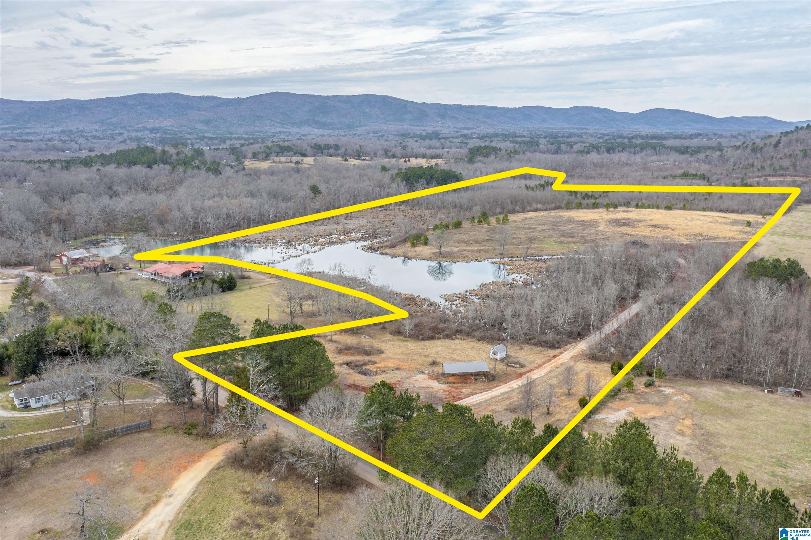 1619 Old Downing Ml Road, Unit 40 03 ACRES Anniston, AL 36207 - Photo 9 of 29