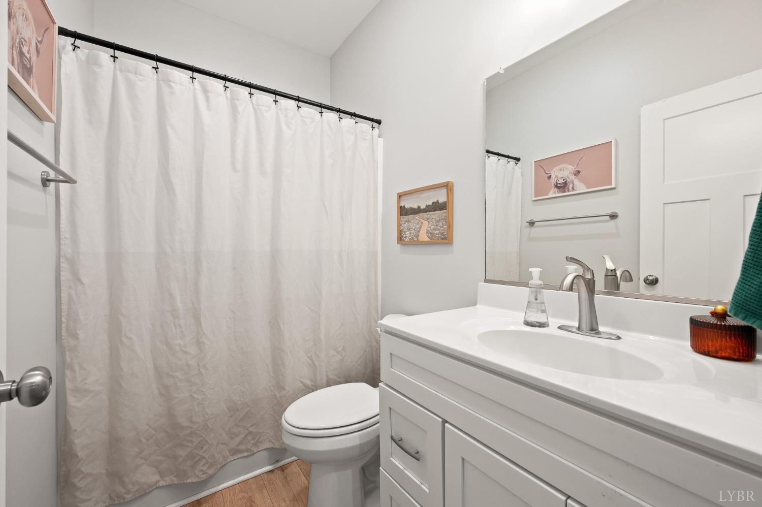 351 Down Creek Road Brookneal, VA 24528 - Photo 21 of 42 a bathroom with a sink a toilet and shower curtain
