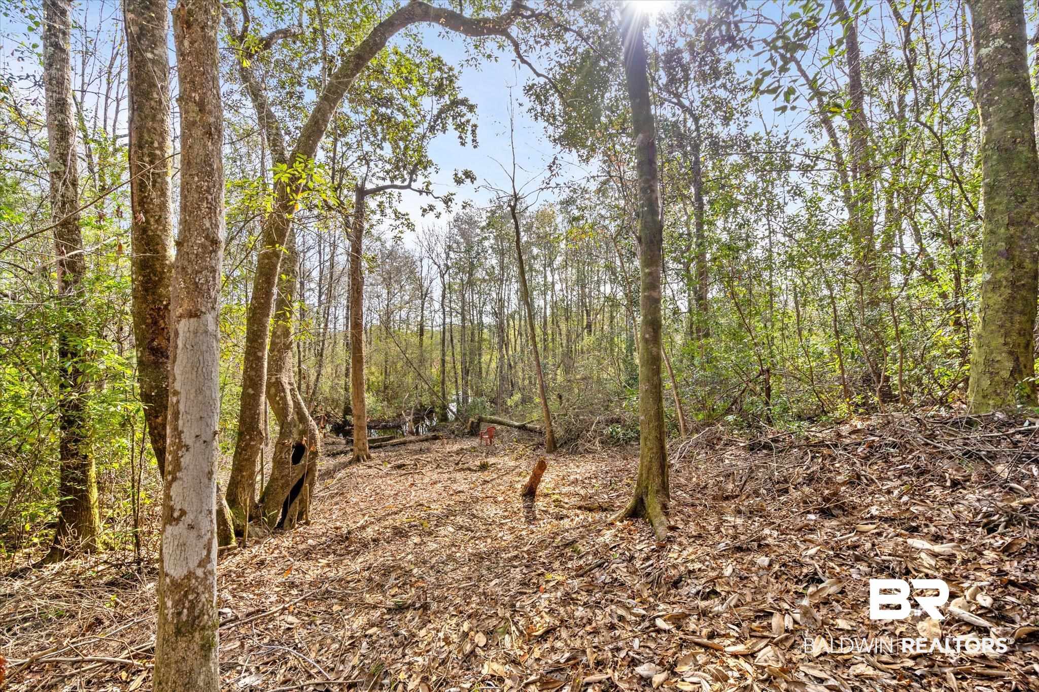 2400 Waterford Road Semmes, AL 36575 - Photo 28 of 30 View of woods