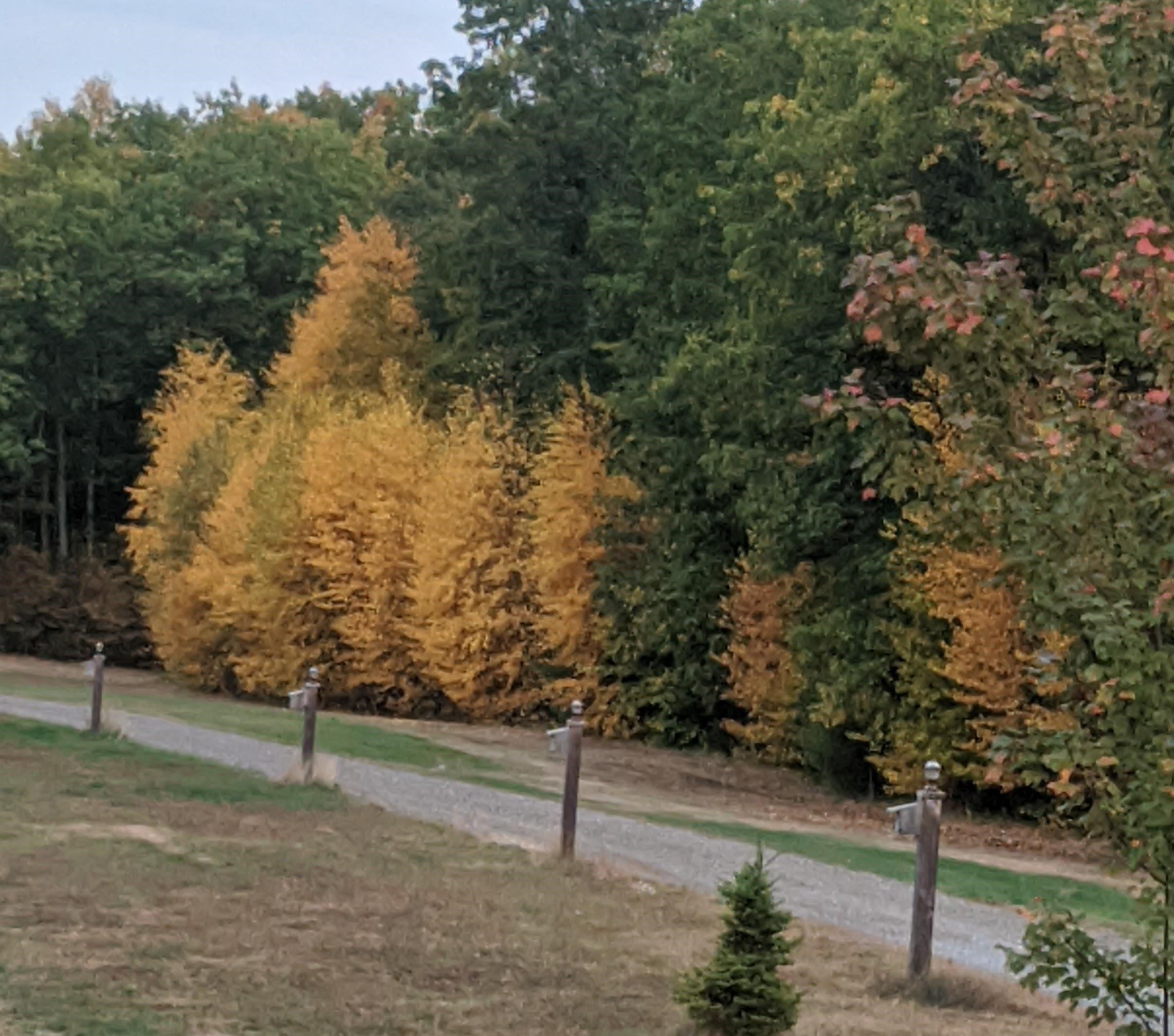 47 Aiken Road Farmington, NH 03835 - Photo 9 of 58