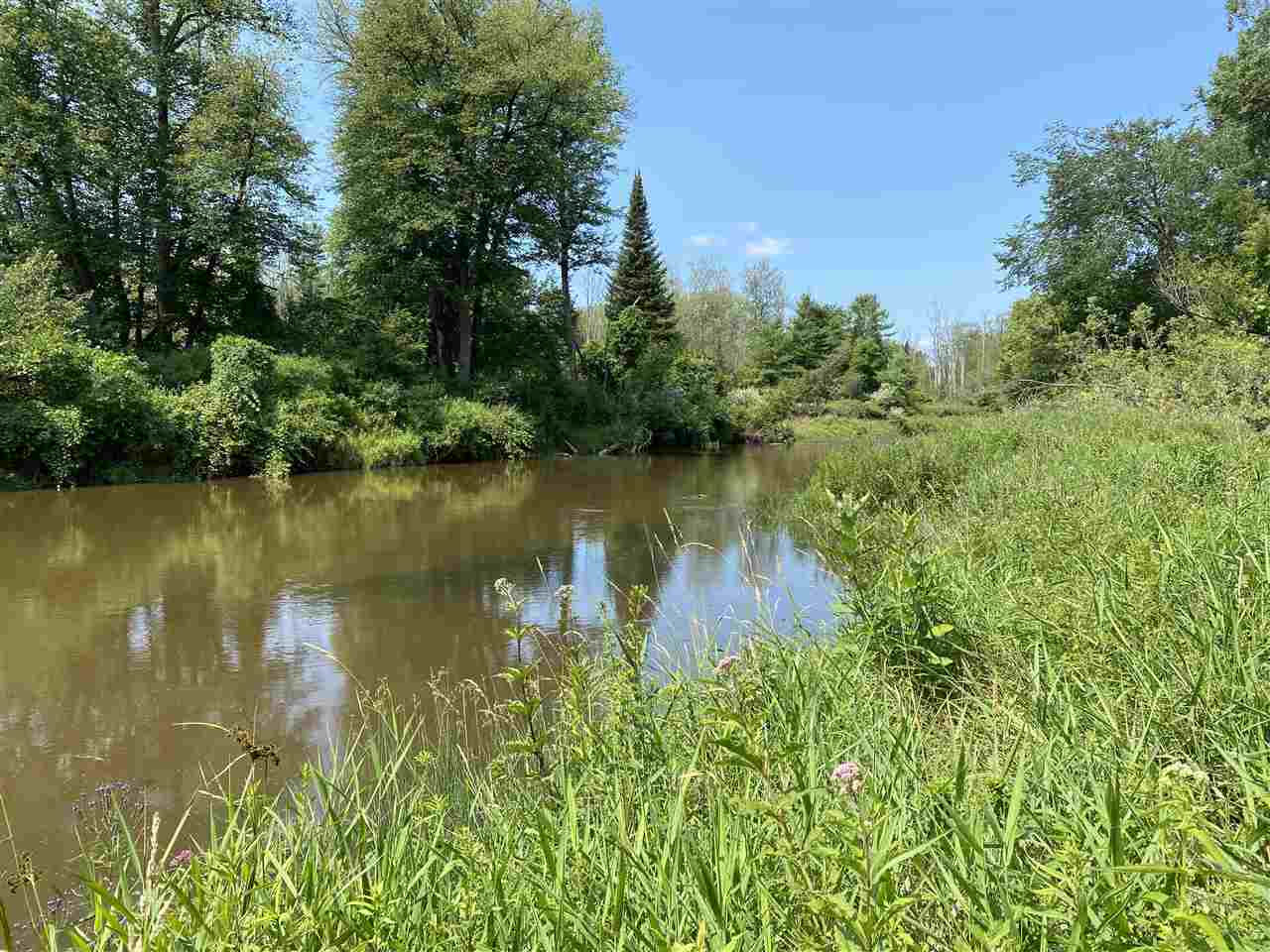 0 Briggs Road Omer, MI 48749 - Photo 6 of 45