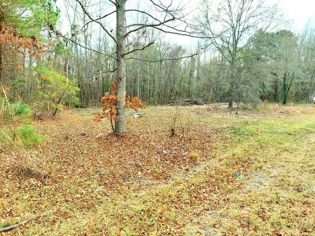 2238 Loss Brook Road Manning, SC 29102 - Photo 1 of 5