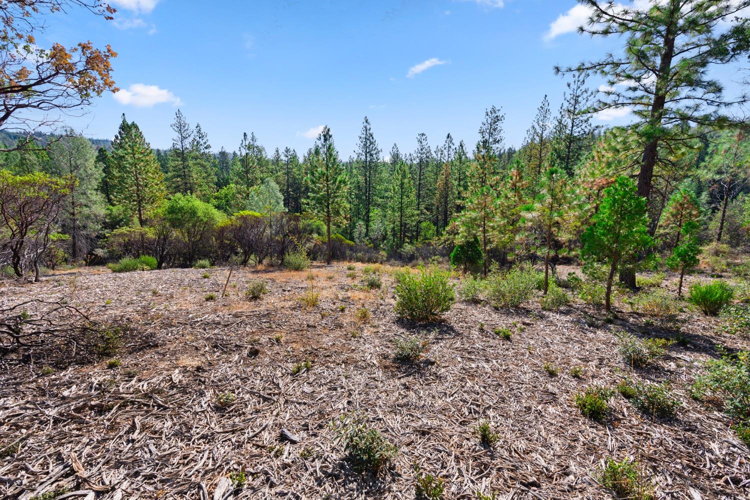 10050 Sun Shadow Cir  