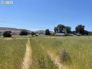 9251 State Route 14 Wishram, WA 98673 - Photo 13 of 30 a view of a field with an ocean