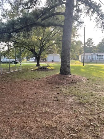 a view of a yard with a tree