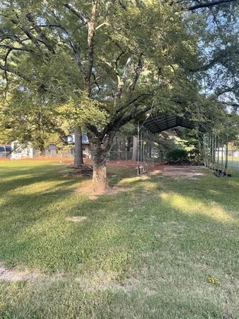 a view of yard with trees