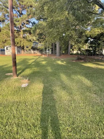 a view of yard with tree s