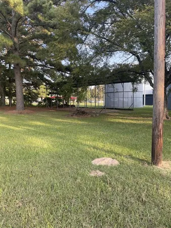 a view of a trees in a yard