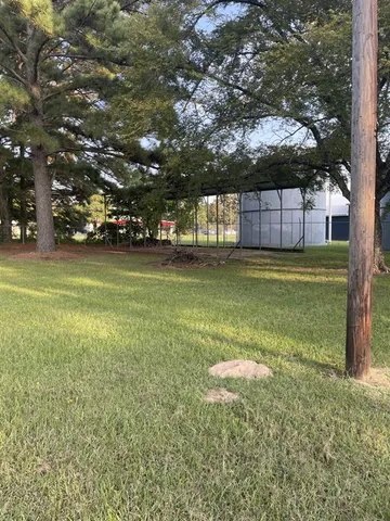 a view of a trees in a yard