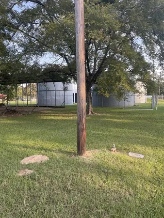 a view of a field with a tree