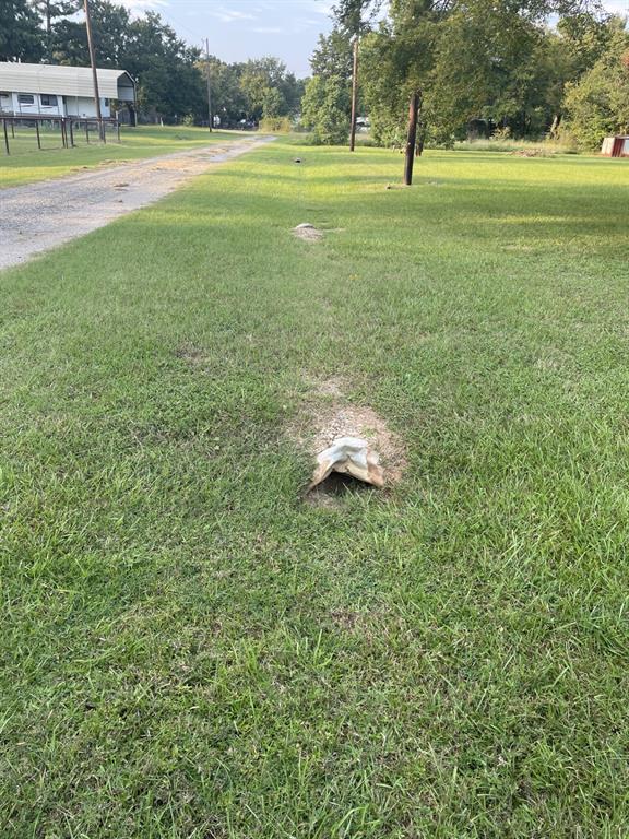 43-and44 Lisa Lane Streetman, TX 75859 - Photo 9 of 20 a backyard of a house with lots of green space