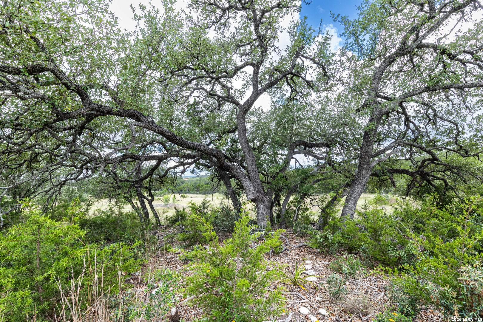 563 Abodar Trail Spring Branch, TX 78070 - Photo 8 of 55