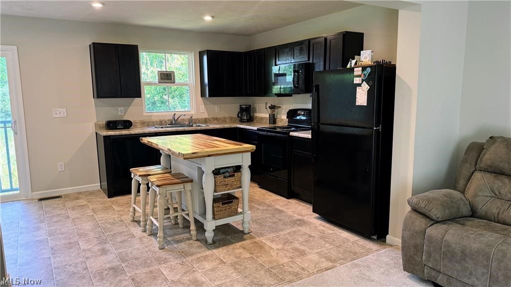 196 Raintree Lane Painesville, OH 44077 - Photo 5 of 16