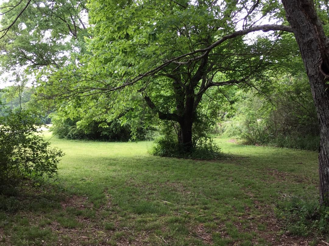 1676 Fredonia Road Manchester, TN 37355 - Photo 13 of 15 a view of outdoor space with a yard