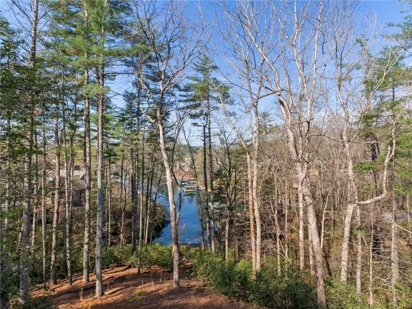 $2,095,000 | 107 Fire Pink Court, Sunset, SC 29685