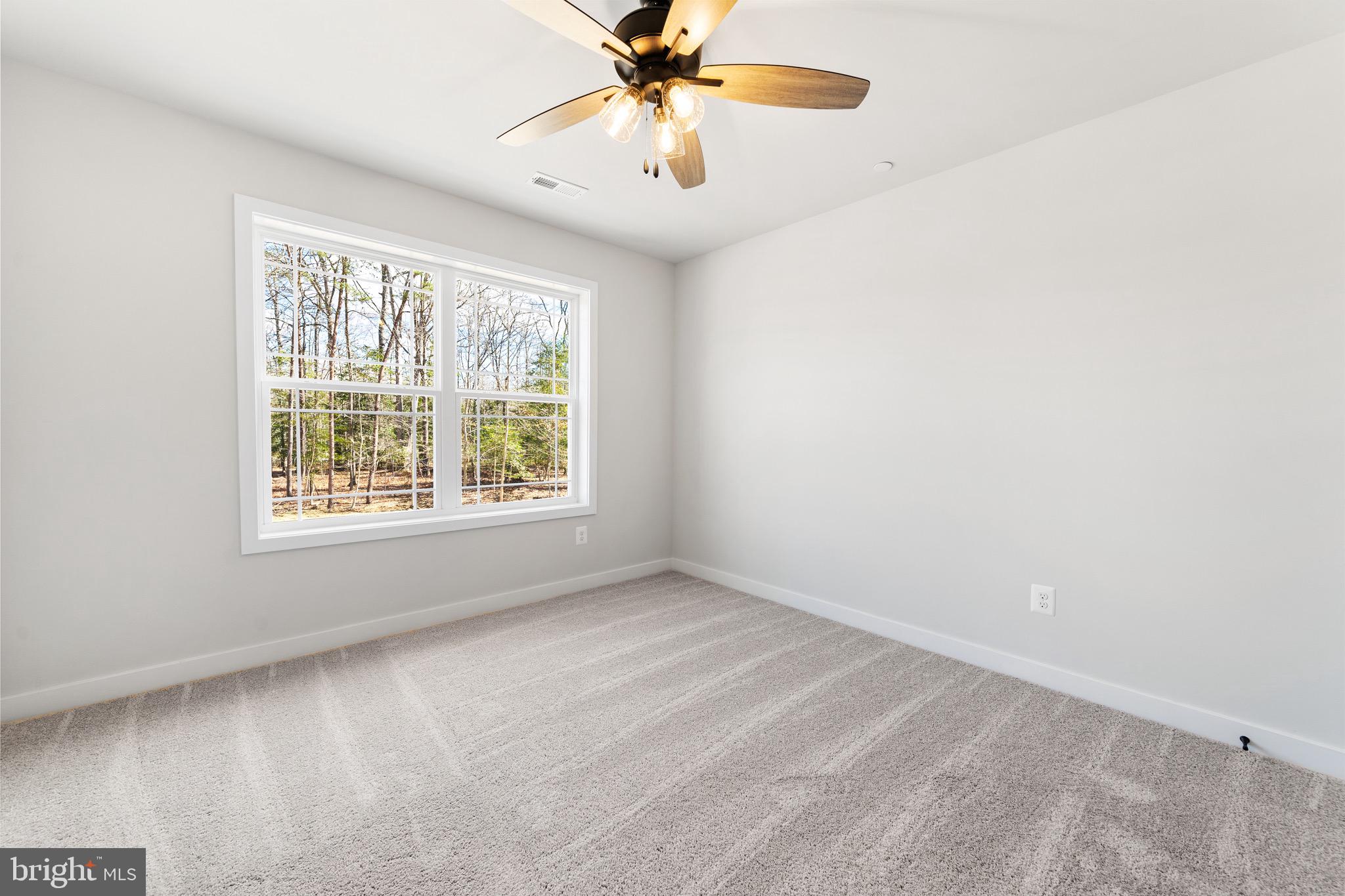 Mill Run Road Newburg, MD 20664 - Photo 43 of 54