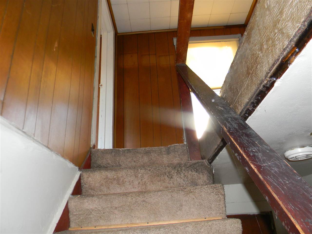 10063 Everona Road Unionville, VA 22567 - Photo 22 of 41 Wooden stairs with carpeting lead to the second floor and more windows.