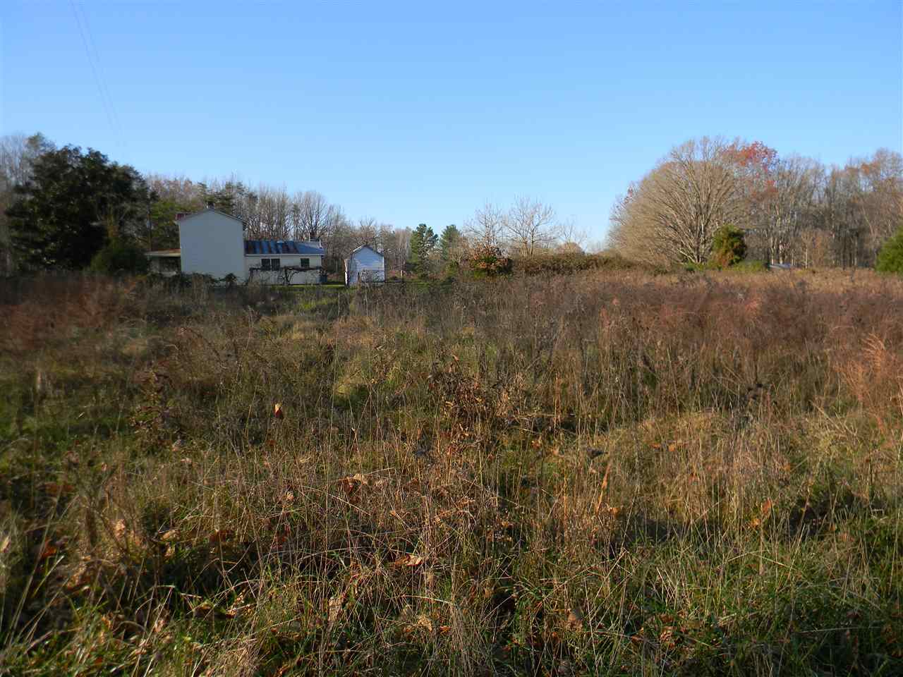 10063 Everona Road Unionville, VA 22567 - Photo 31 of 41 The pasture land is ready for your cattle or horses.