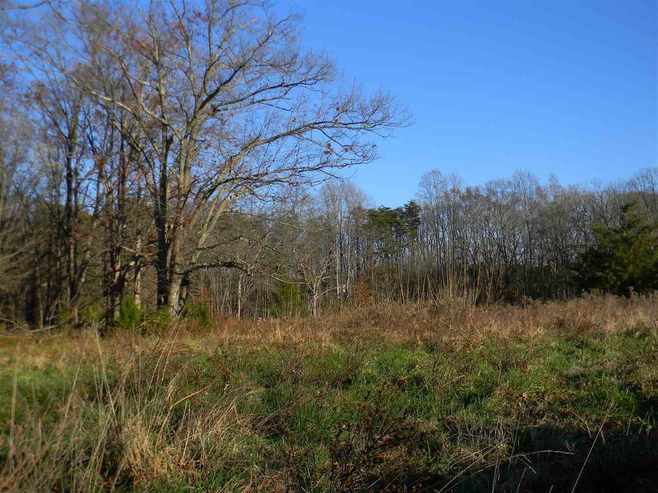 10063 Everona Road Unionville, VA 22567 - Photo 39 of 41 Marvelous potential!