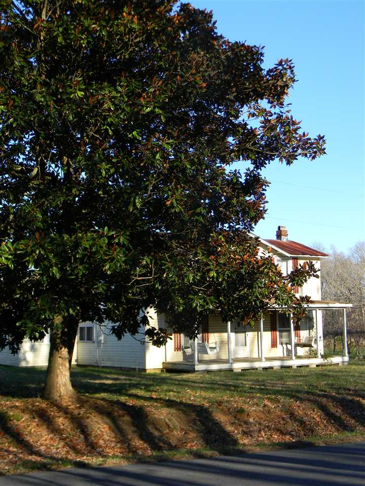 10063 Everona Road Unionville, VA 22567 - Photo 40 of 41 Here is a close-up of the incredible magnolia tree in front of the home.