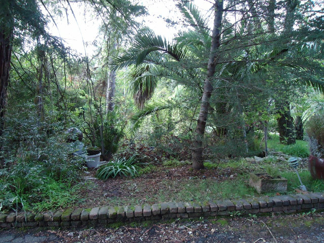 0 Spring Santa Cruz, CA 95060 - Photo 3 of 5 Gallery Image 3