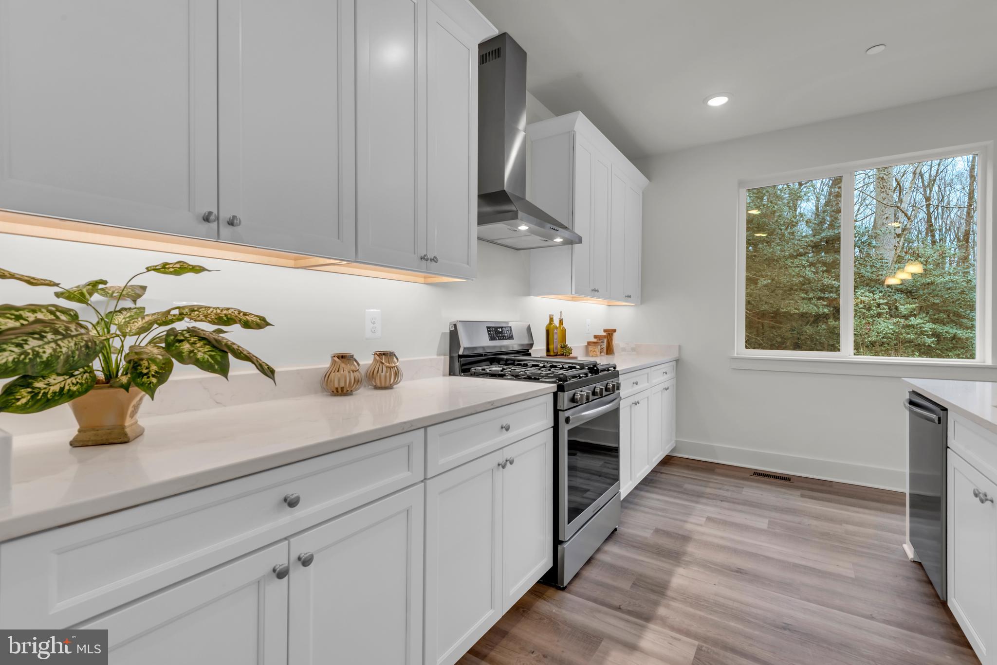 6504 Whitetail Crossing Way Hanover, MD 21076 - Photo 23 of 92 Kitchen