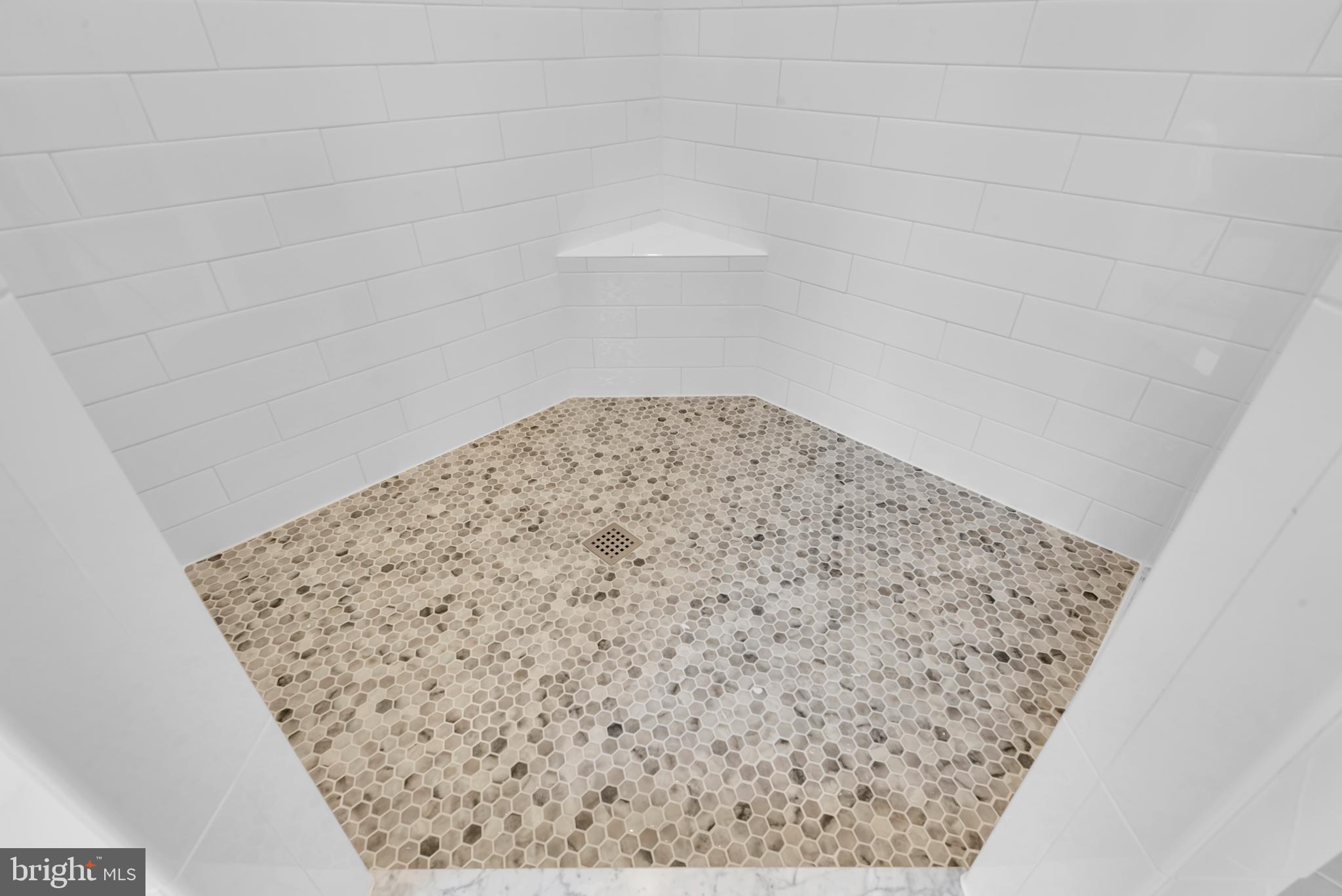 6504 Whitetail Crossing Way Hanover, MD 21076 - Photo 37 of 92 Primary Shower