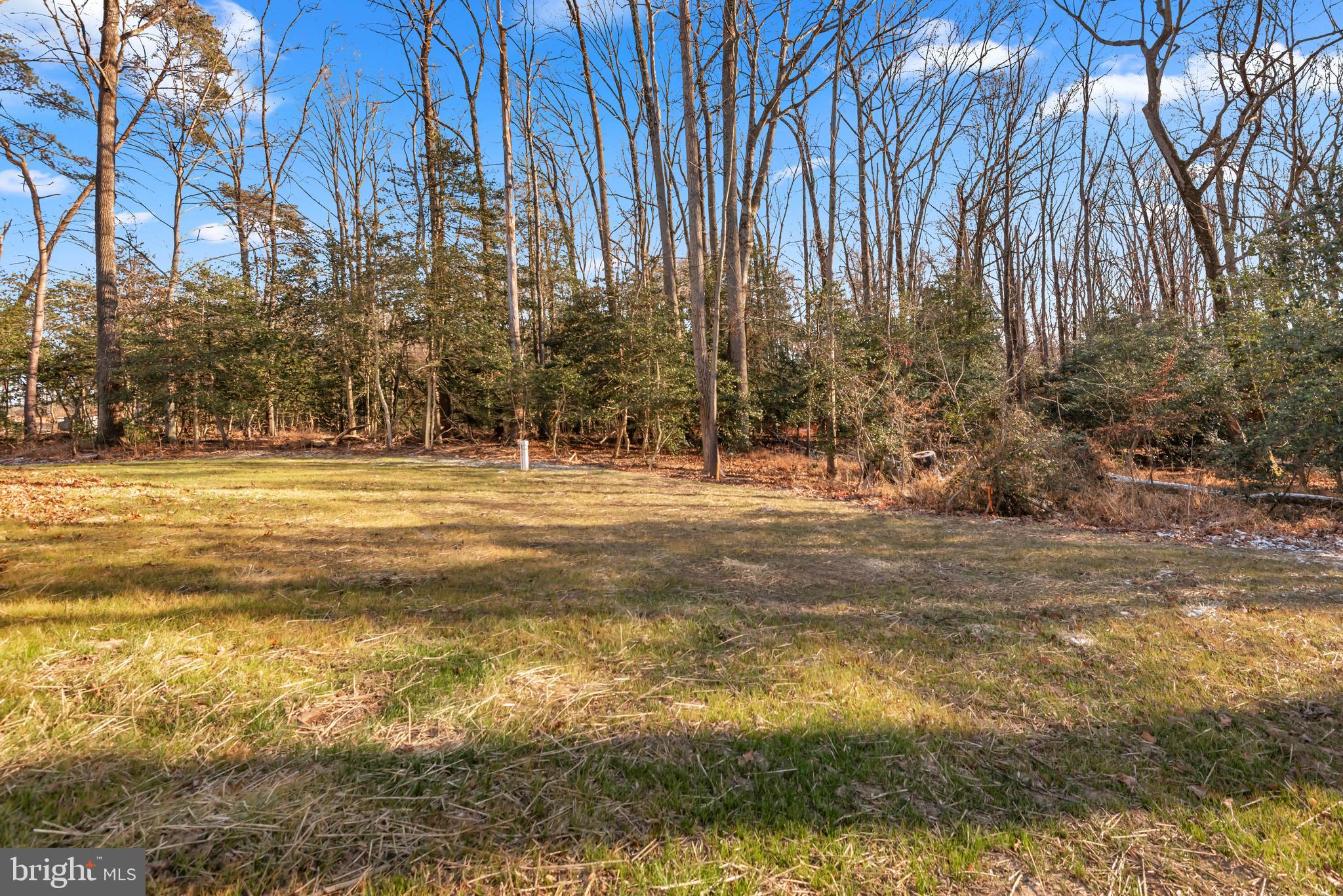 6504 Whitetail Crossing Way Hanover, MD 21076 - Photo 79 of 92