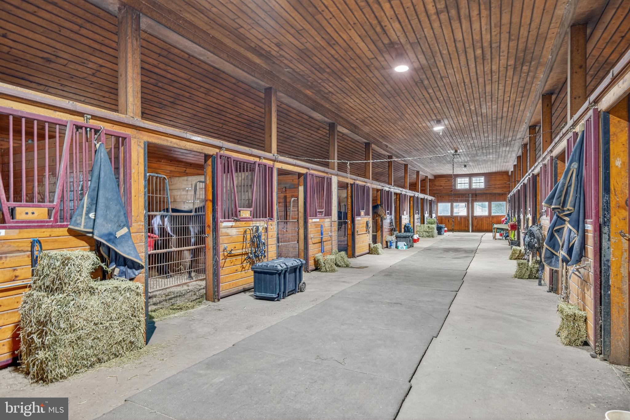 52 Hill Road Allentown, NJ 08501 - Photo 20 of 42 Main barn complete with 42 stalls
