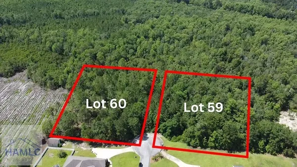 $42,500 | 112 Vixenhill Drive, Jesup, GA 31546