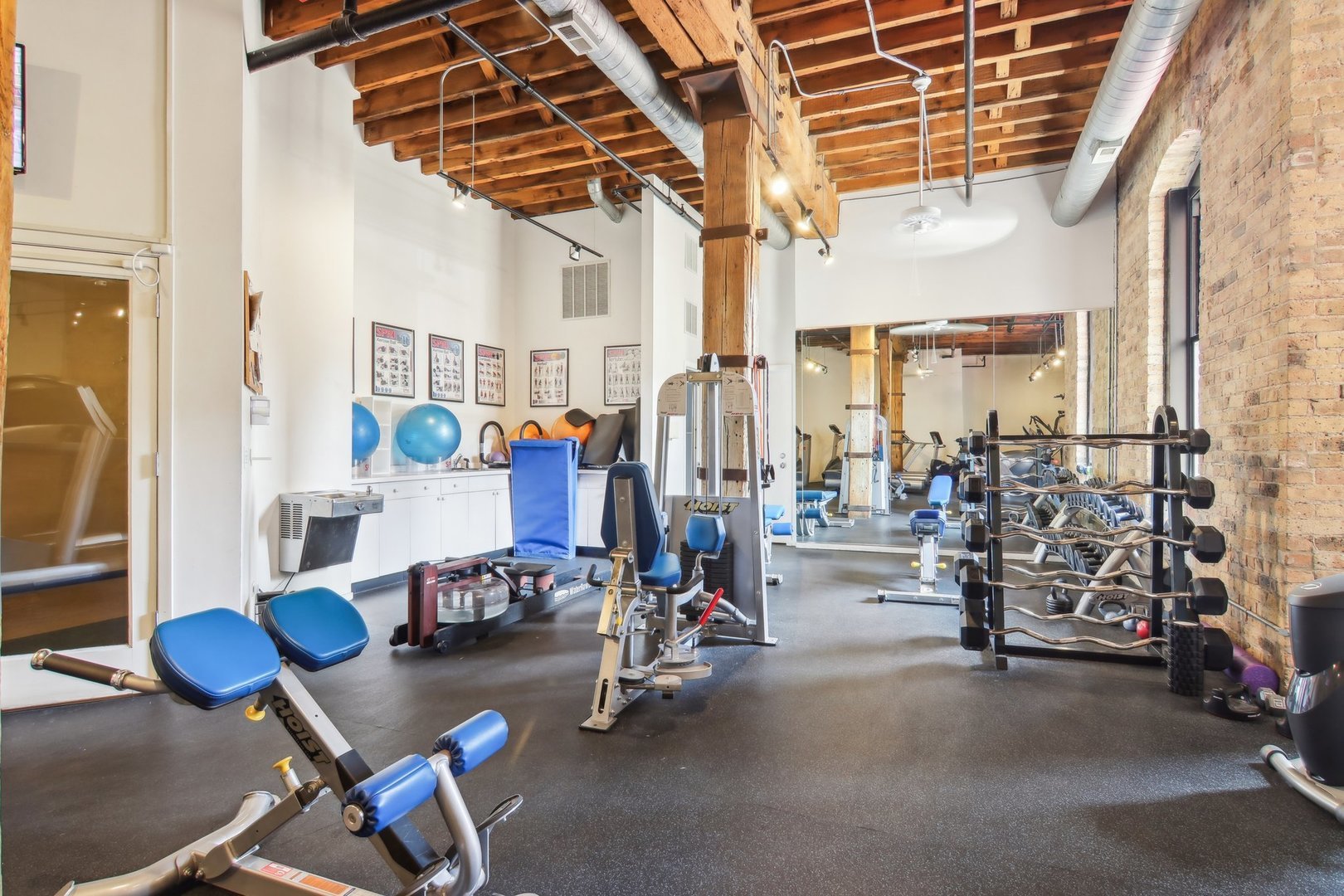 226 North Clinton Street, Unit 216 Chicago, IL 60661 - Photo 15 of 21 a view of gym
