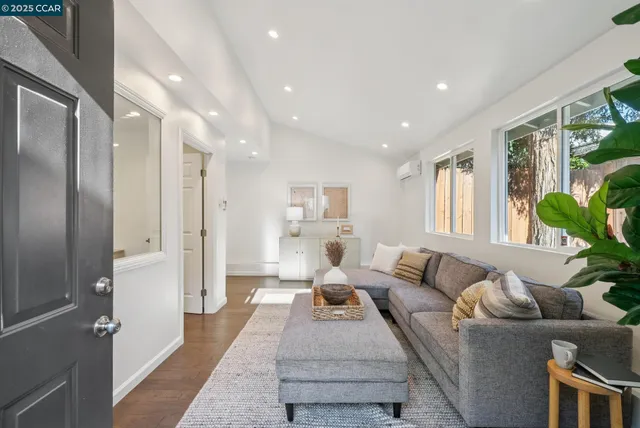 a living room with furniture and a potted plant