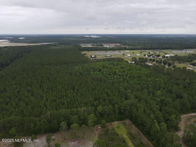 10213 Old Plank Road Jacksonville, FL 32220 - Photo 2 of 2 a view of lake with beach