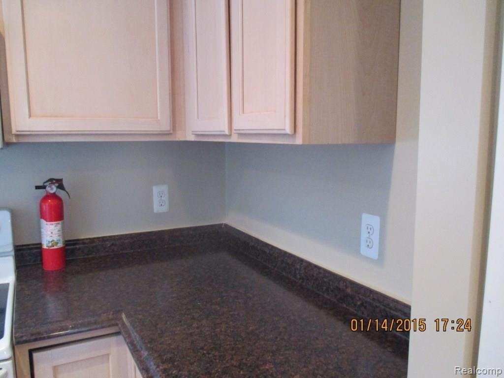 3796 West Genesee Road Lapeer, MI 48446 - Photo 8 of 27