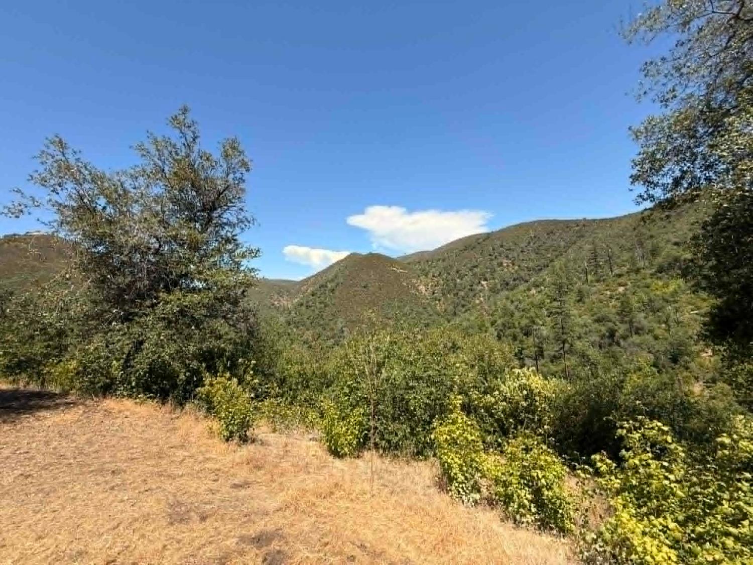 4441 Mountain Ranch Road San Andreas, CA 95249 - Photo 25 of 30