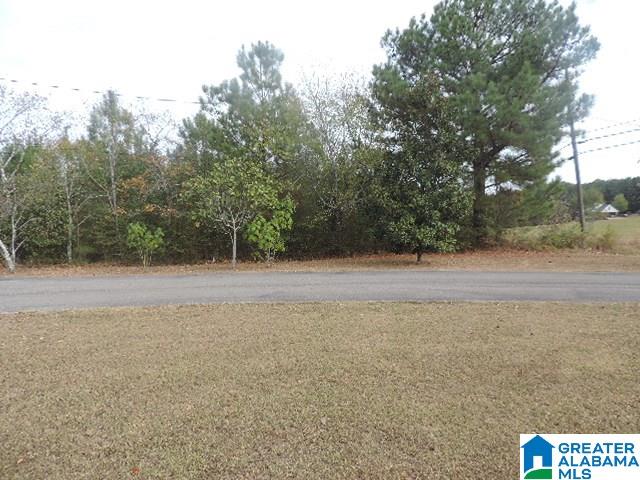 3009 Mayfield Road Warrior, AL 35180 - Photo 34 of 38