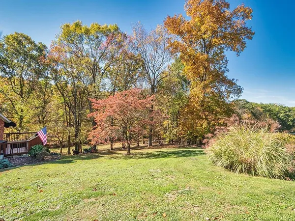 a view of yard with tree