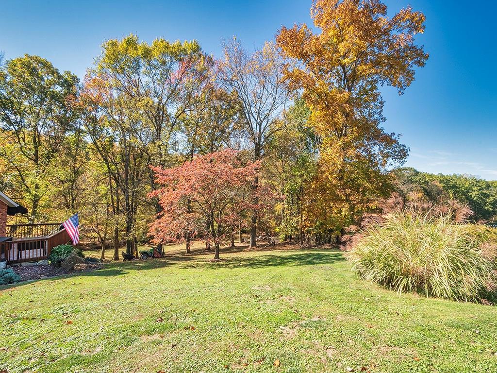 380 Woodland Road Apollo, PA 15613 - Photo 7 of 28 a view of yard with tree