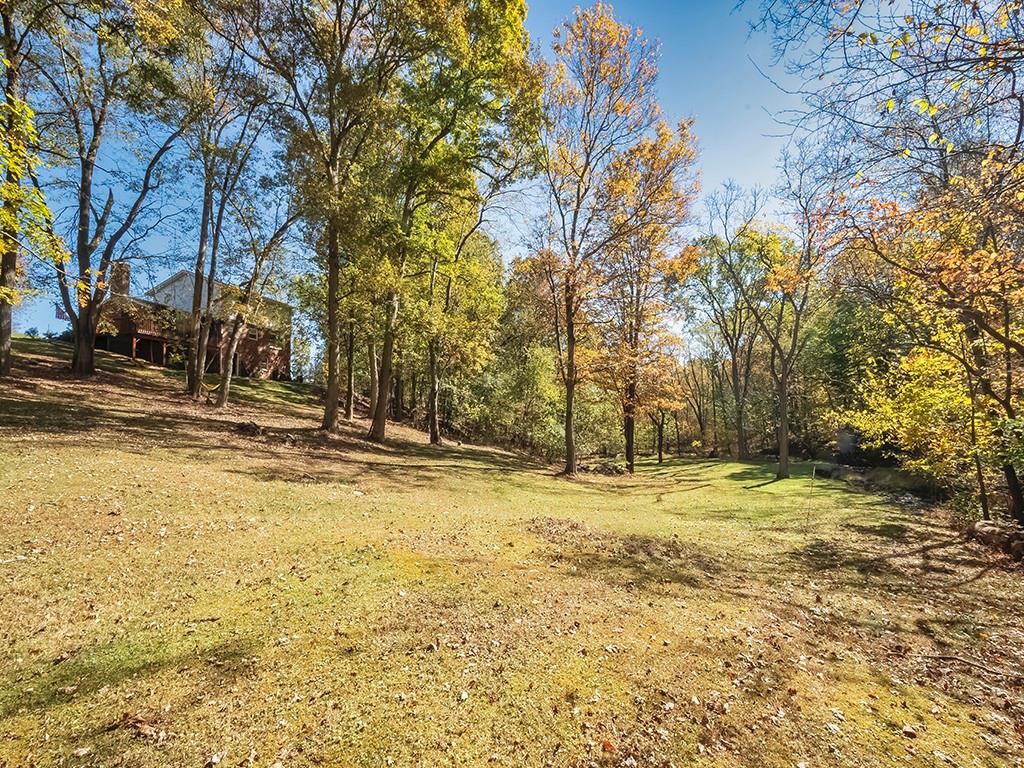 380 Woodland Road Apollo, PA 15613 - Photo 9 of 28 a view of yard with trees