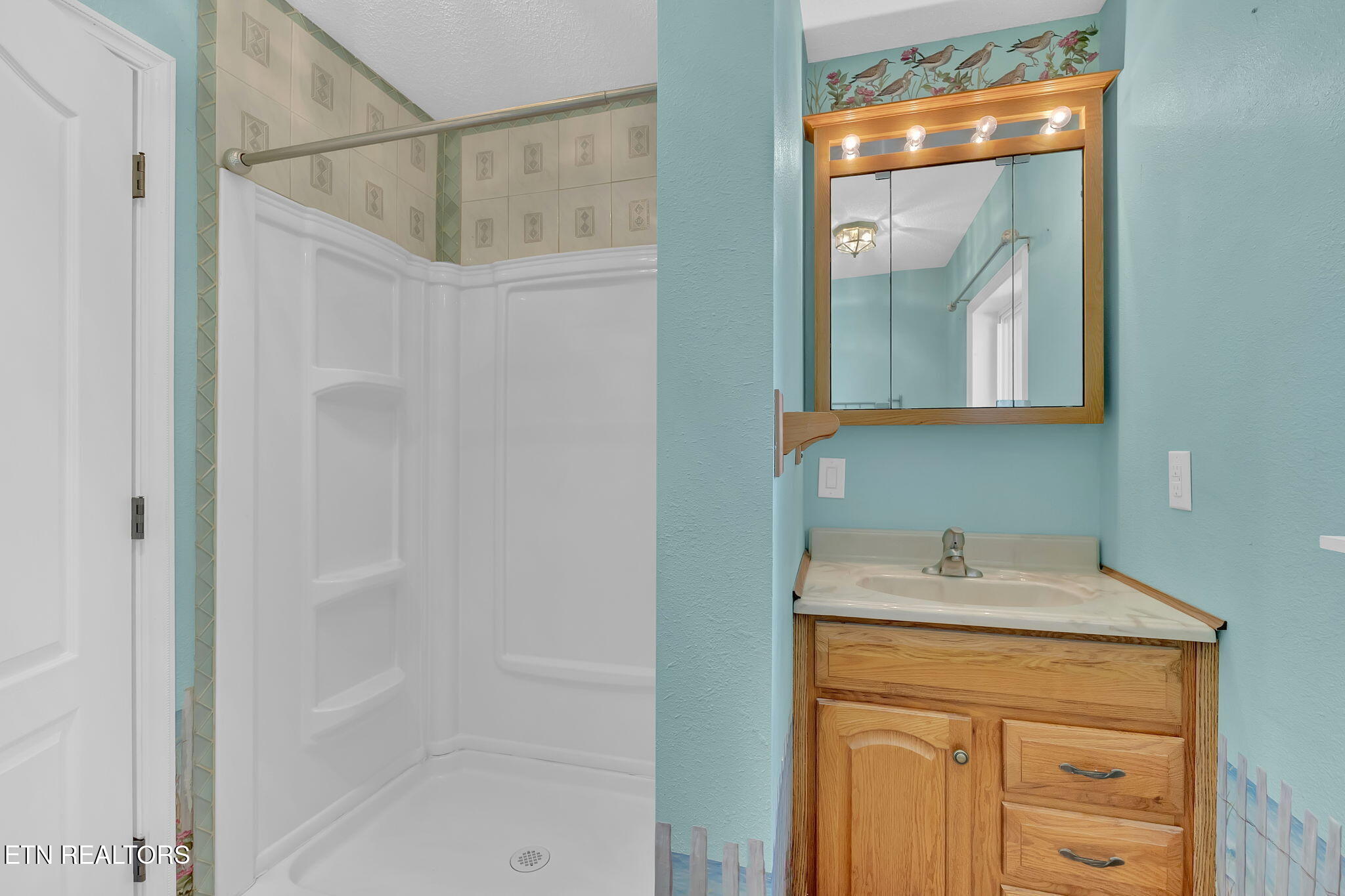 731 Sam Martin Road Dandridge, TN 37725 - Photo 23 of 60 Bathroom
